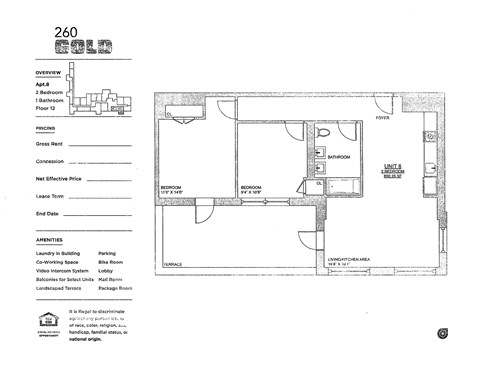 A floor plan for a 260 square foot apartment with an overview, amenities, and detailed room layout.